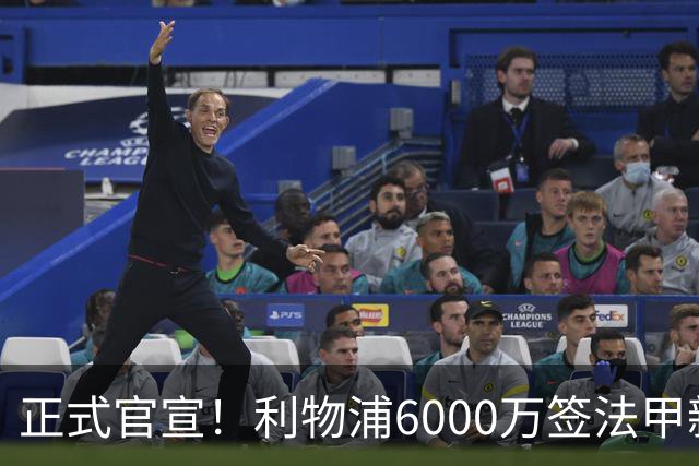 正式官宣！利物浦6000万签法甲新星，身价暴涨3倍，将接班科纳特